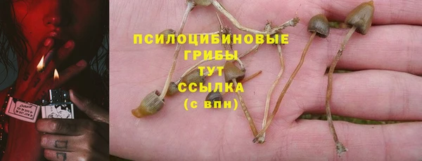 ешки Струнино