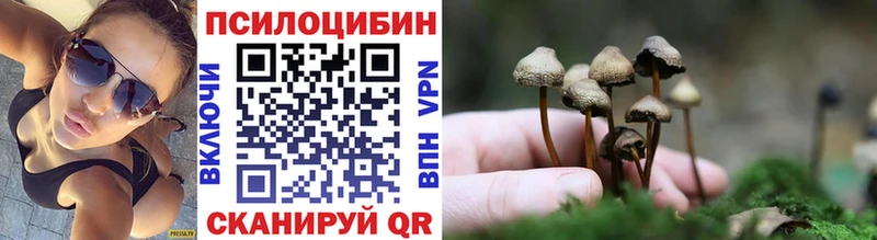 мега зеркало  Можайск  Псилоцибиновые грибы прущие грибы 