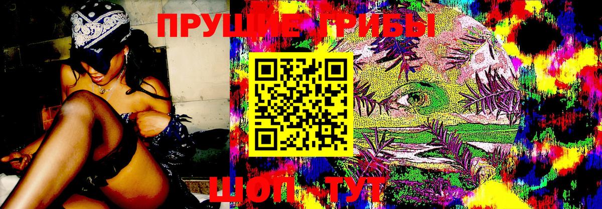 Псилоцибиновые грибы прущие грибы  Галлюциногенные грибы Cubensis  Можайск  Вход с VPN 